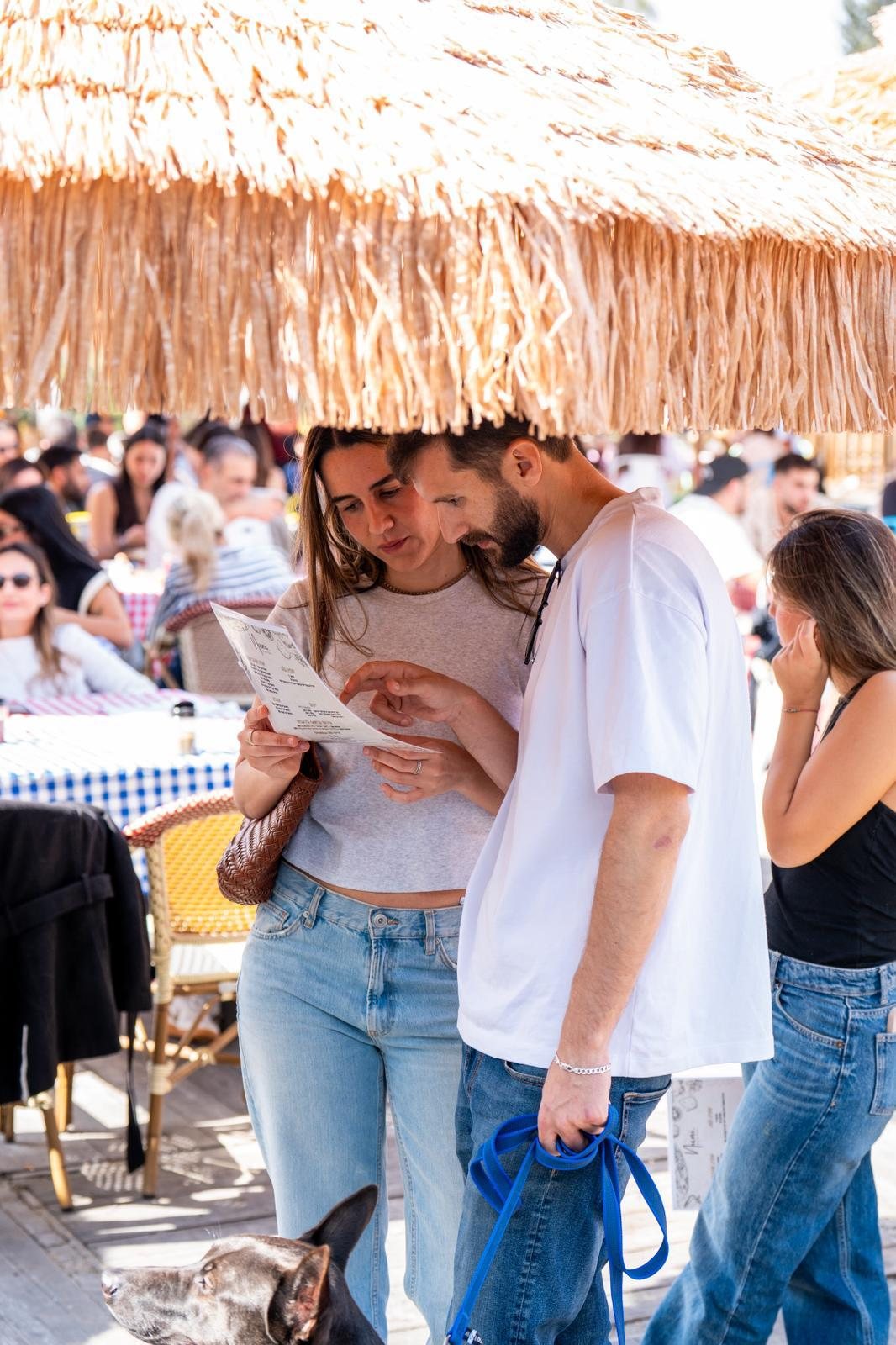 אורחים מתלבטים בתפריט תחת שמשייה בחצר
